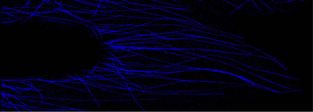 European Bio Imaging Facility - Overview