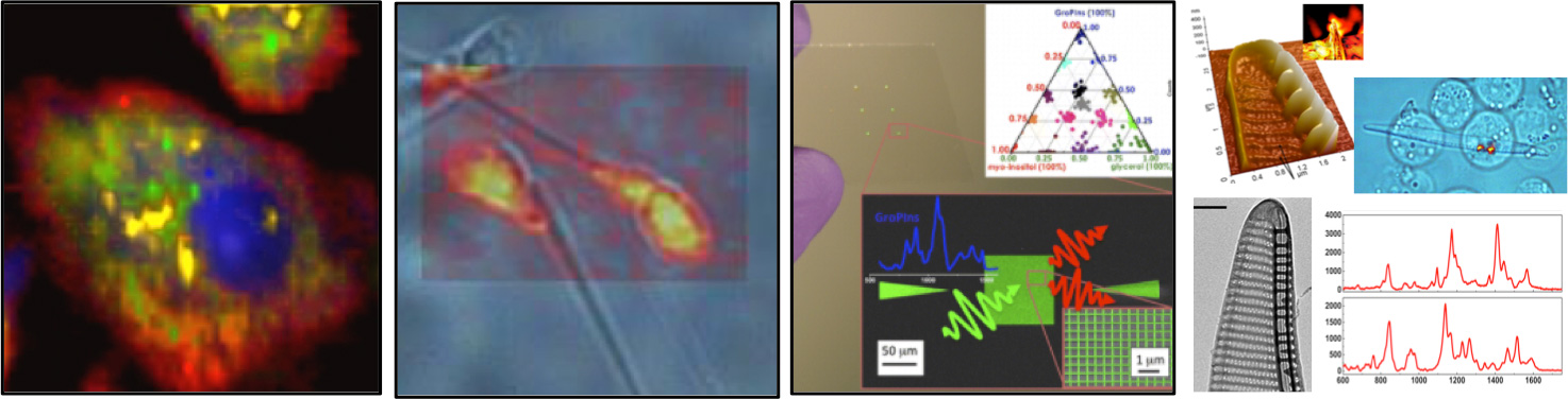 European Bio Imaging Facility - Overview