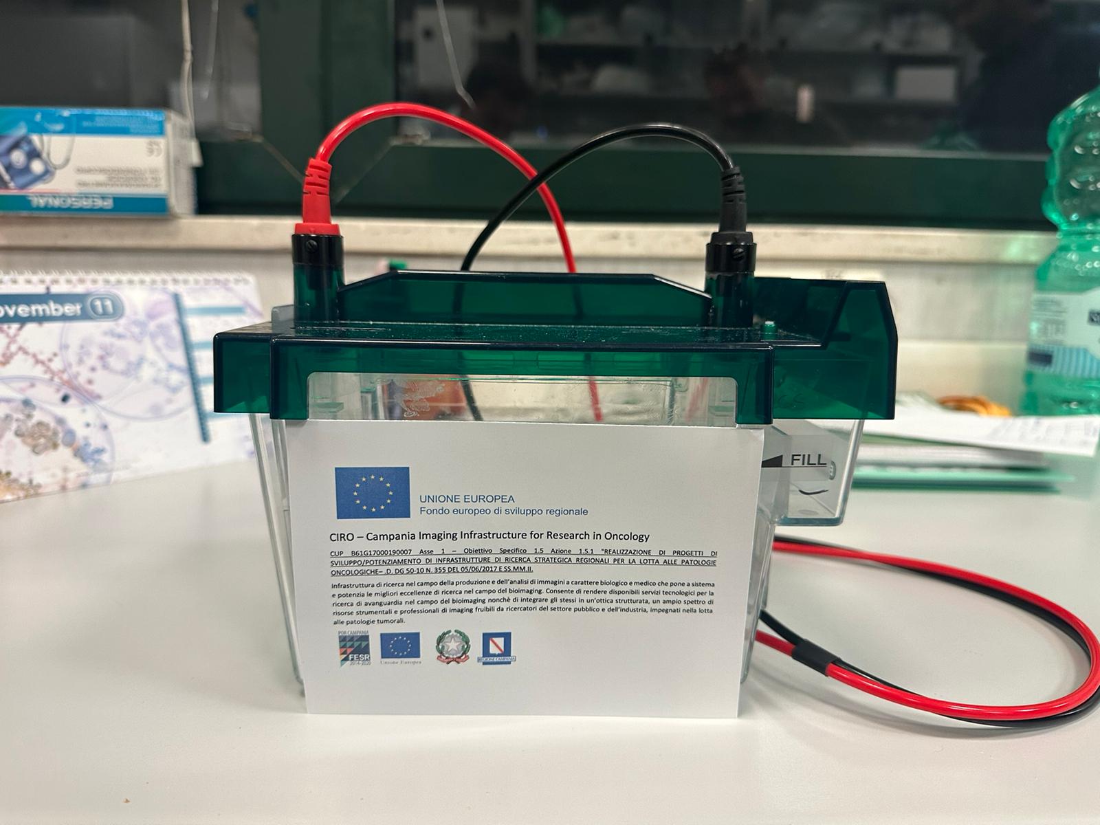 Gel-electrophoresis system